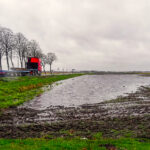 Kiek op de Mo(a)nd